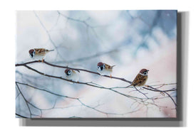 'Bird Feeders Treehouse' by Epic Portfolio, Giclee Canvas Wall Art