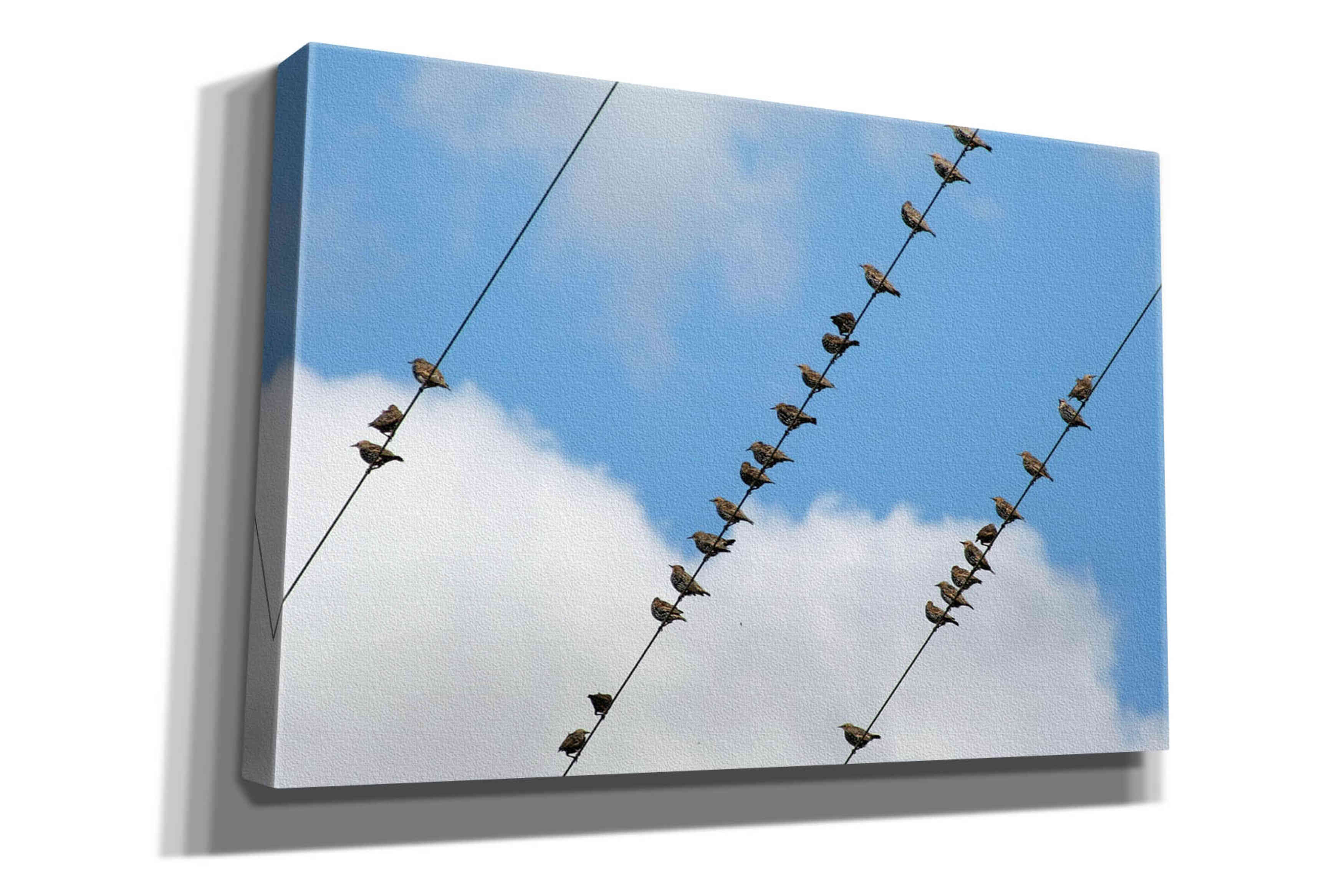 'Humanwatching' by Epic Portfolio, Giclee Canvas Wall Art