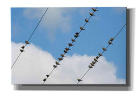 'Humanwatching' by Epic Portfolio, Giclee Canvas Wall Art