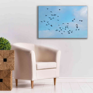 'Method to the Madness' by Epic Portfolio, Giclee Canvas Wall Art,40x26