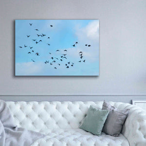 'Method to the Madness' by Epic Portfolio, Giclee Canvas Wall Art,60x40