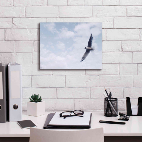 Image of 'Sky Cruising' by Epic Portfolio, Giclee Canvas Wall Art,16x12