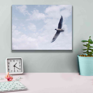 'Sky Cruising' by Epic Portfolio, Giclee Canvas Wall Art,16x12