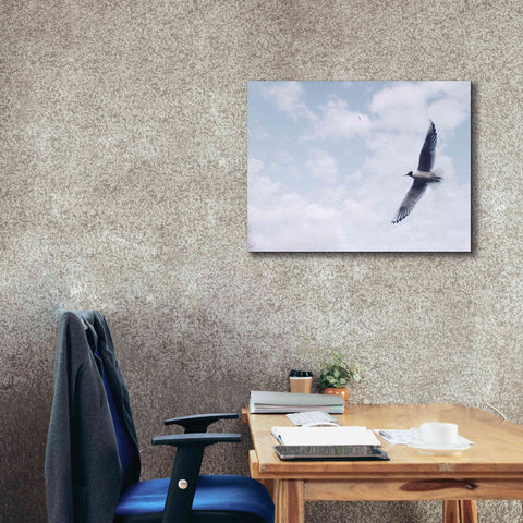 Image of 'Sky Cruising' by Epic Portfolio, Giclee Canvas Wall Art,34x26