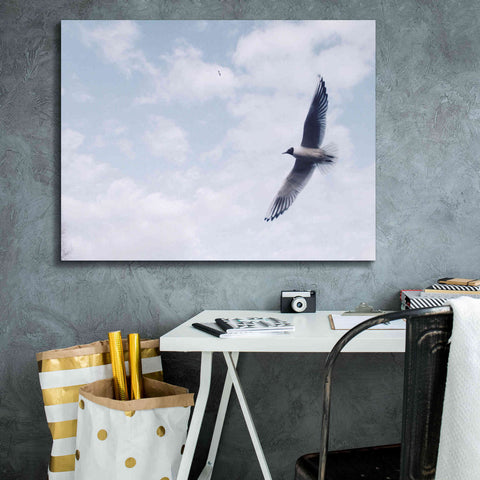 Image of 'Sky Cruising' by Epic Portfolio, Giclee Canvas Wall Art,34x26