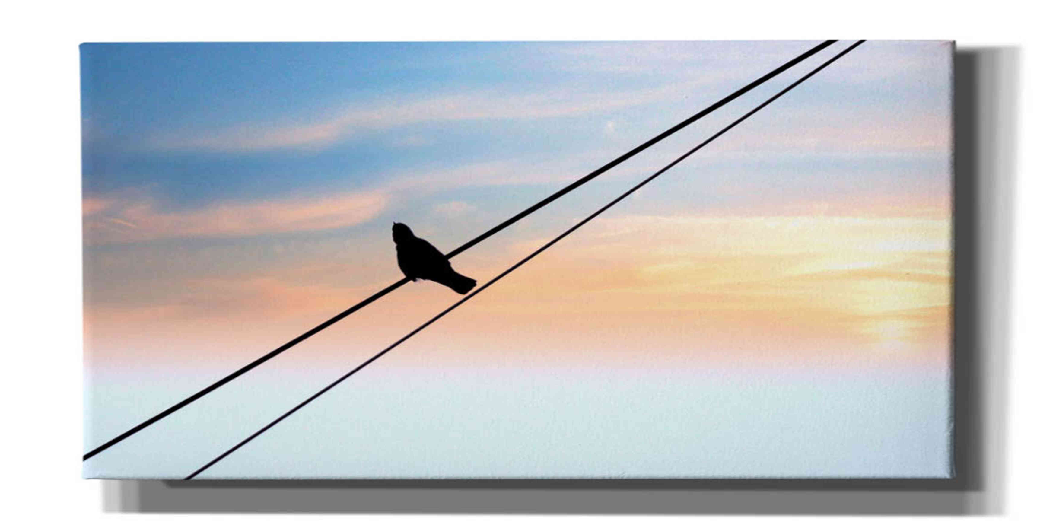 'Sunset Watching' by Epic Portfolio, Giclee Canvas Wall Art