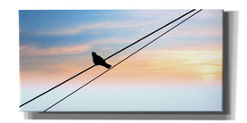 'Sunset Watching' by Epic Portfolio, Giclee Canvas Wall Art