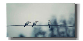 'Three Musketeers' by Epic Portfolio, Giclee Canvas Wall Art