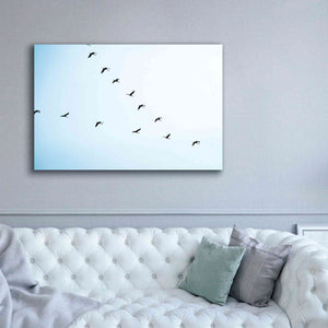 'V Formation' by Epic Portfolio, Giclee Canvas Wall Art,60x40