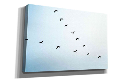 Image of 'V Formation' by Epic Portfolio, Giclee Canvas Wall Art