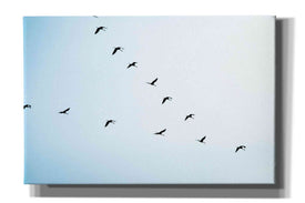 'V Formation' by Epic Portfolio, Giclee Canvas Wall Art