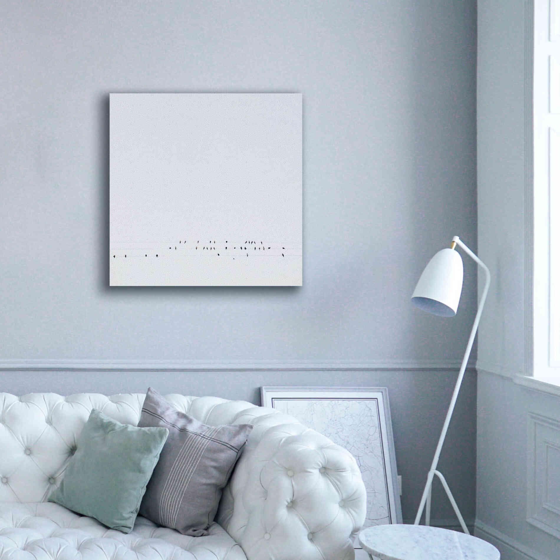 'Winter Sky' by Epic Portfolio, Giclee Canvas Wall Art,37x37