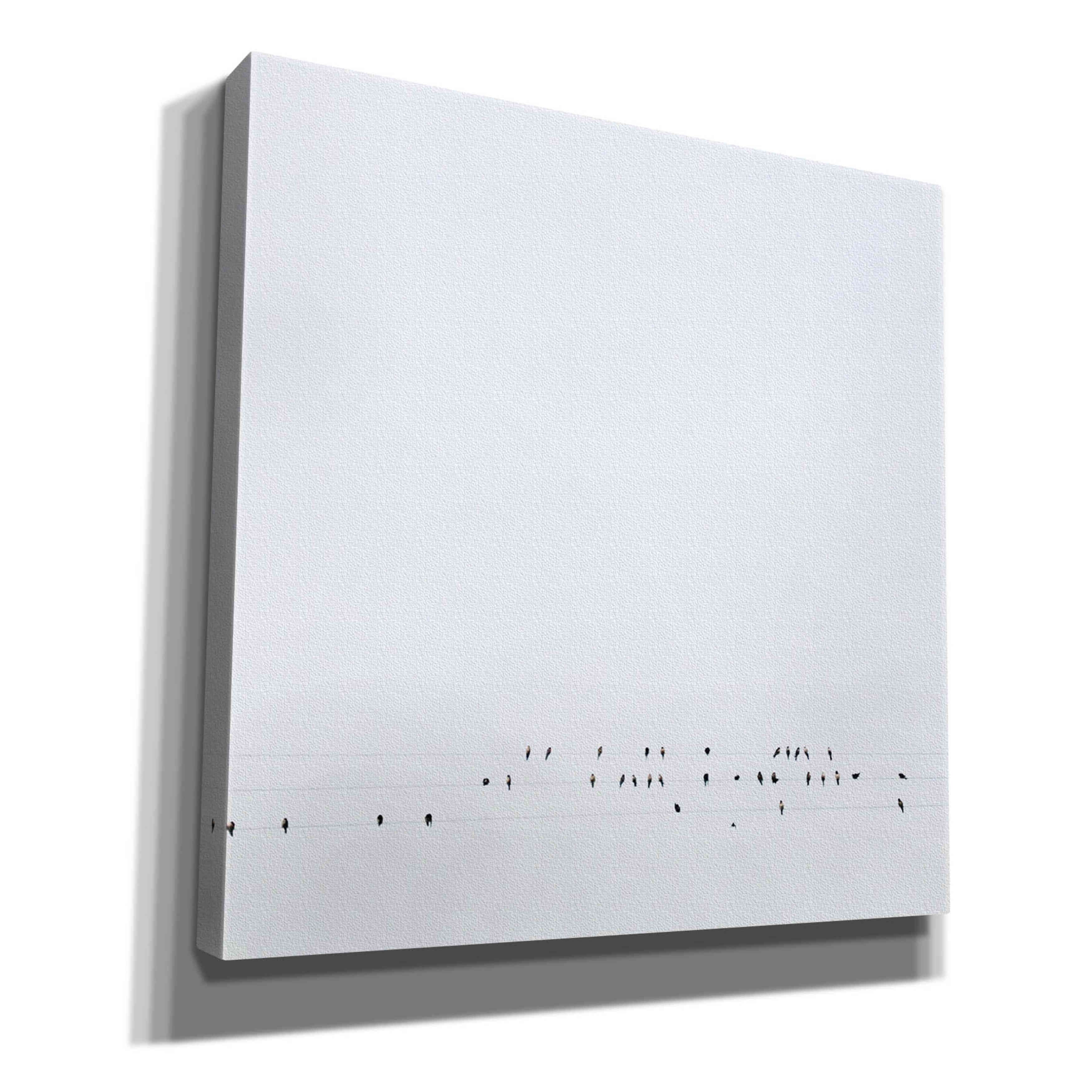 'Winter Sky' by Epic Portfolio, Giclee Canvas Wall Art