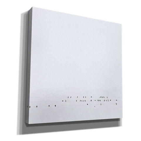 Image of 'Winter Sky' by Epic Portfolio, Giclee Canvas Wall Art