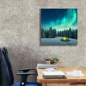 'Northern Lights In Winter Forest 1' by Epic Portfolio, Giclee Canvas Wall Art,26x26