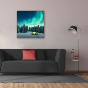 'Northern Lights In Winter Forest 1' by Epic Portfolio, Giclee Canvas Wall Art,37x37