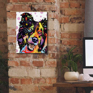 'Border Collie 1' by Dean Russo, Giclee Canvas Wall Art,12x16