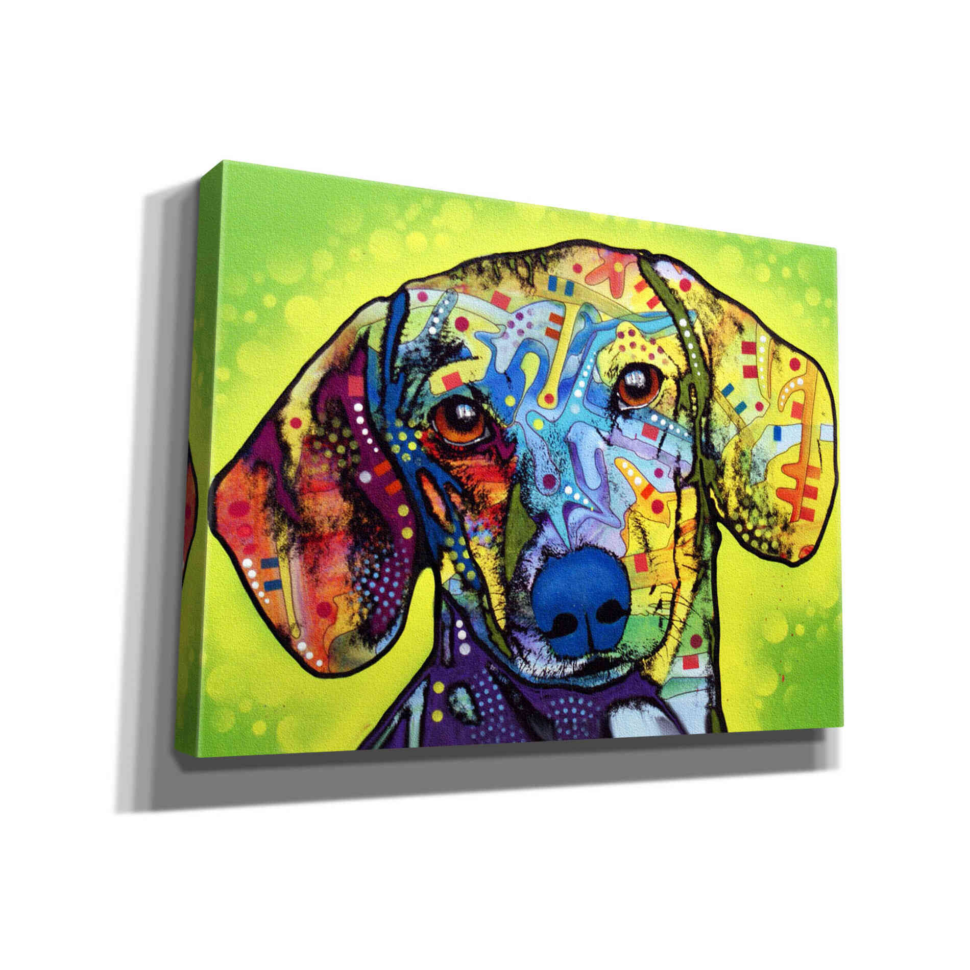 'Dachshund' by Dean Russo, Giclee Canvas Wall Art