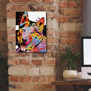 'Siberian Husky 1' by Dean Russo, Giclee Canvas Wall Art,12x16