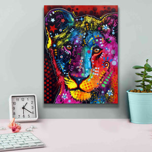 'Young Lion' by Dean Russo, Giclee Canvas Wall Art,12x16