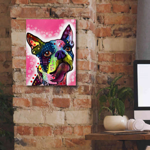 'Boston Terrier' by Dean Russo, Giclee Canvas Wall Art,12x16