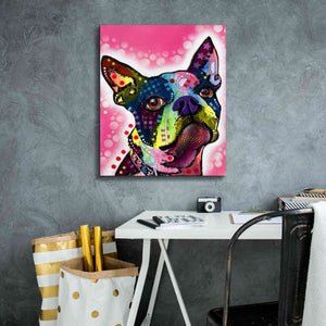'Boston Terrier' by Dean Russo, Giclee Canvas Wall Art,20x24