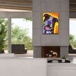'Daisy Pit' by Dean Russo, Giclee Canvas Wall Art,26x34