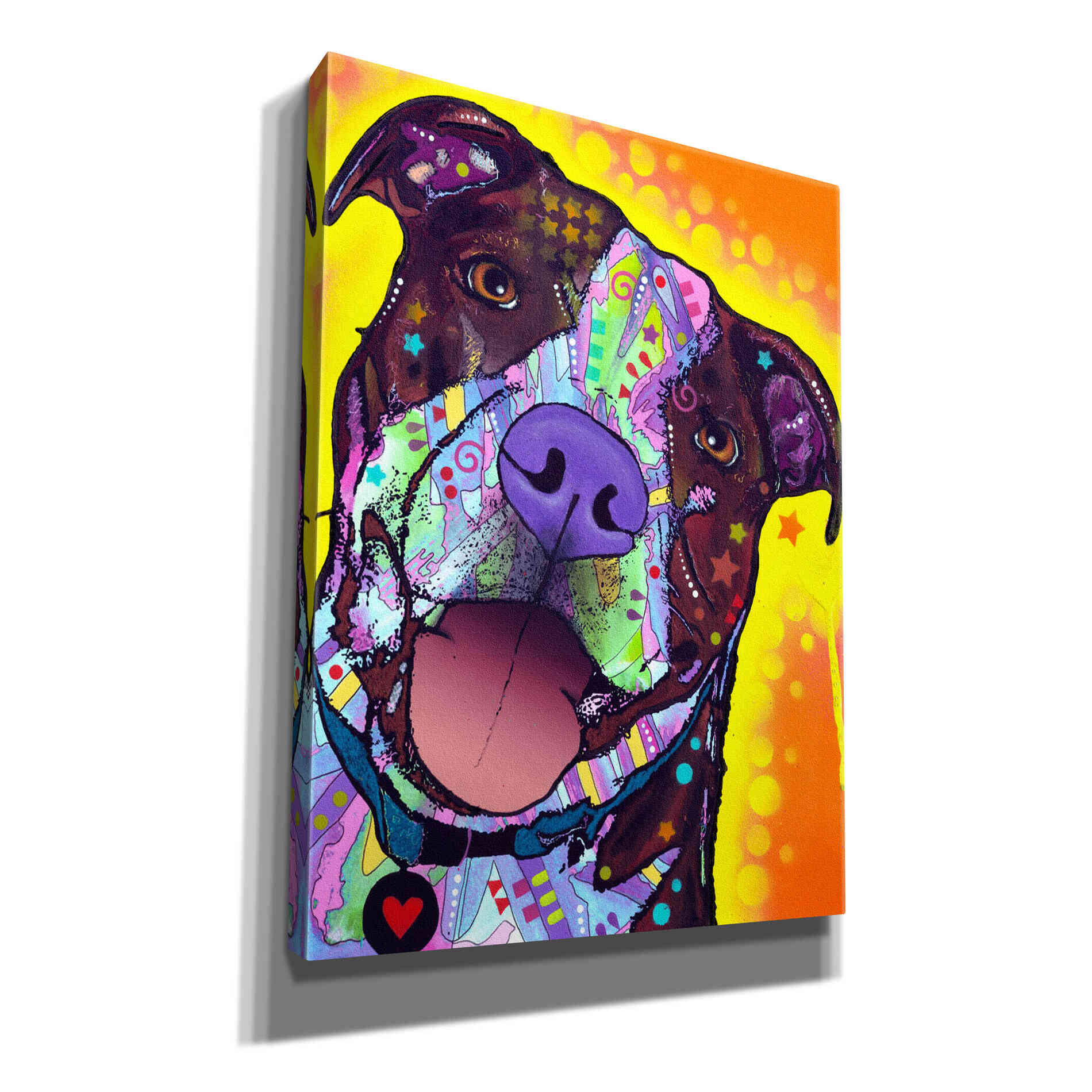 'Daisy Pit' by Dean Russo, Giclee Canvas Wall Art
