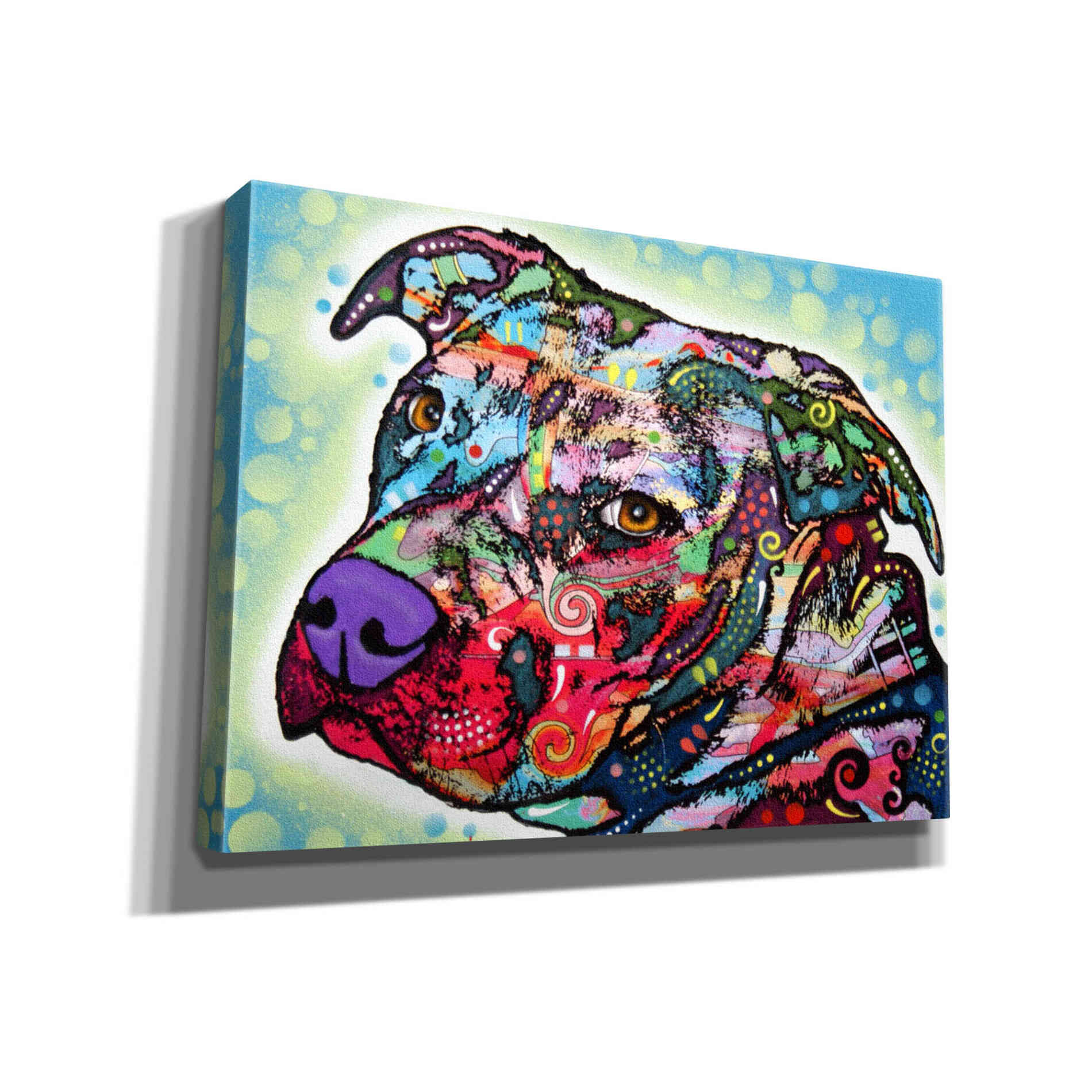'Bulls Eye' by Dean Russo, Giclee Canvas Wall Art