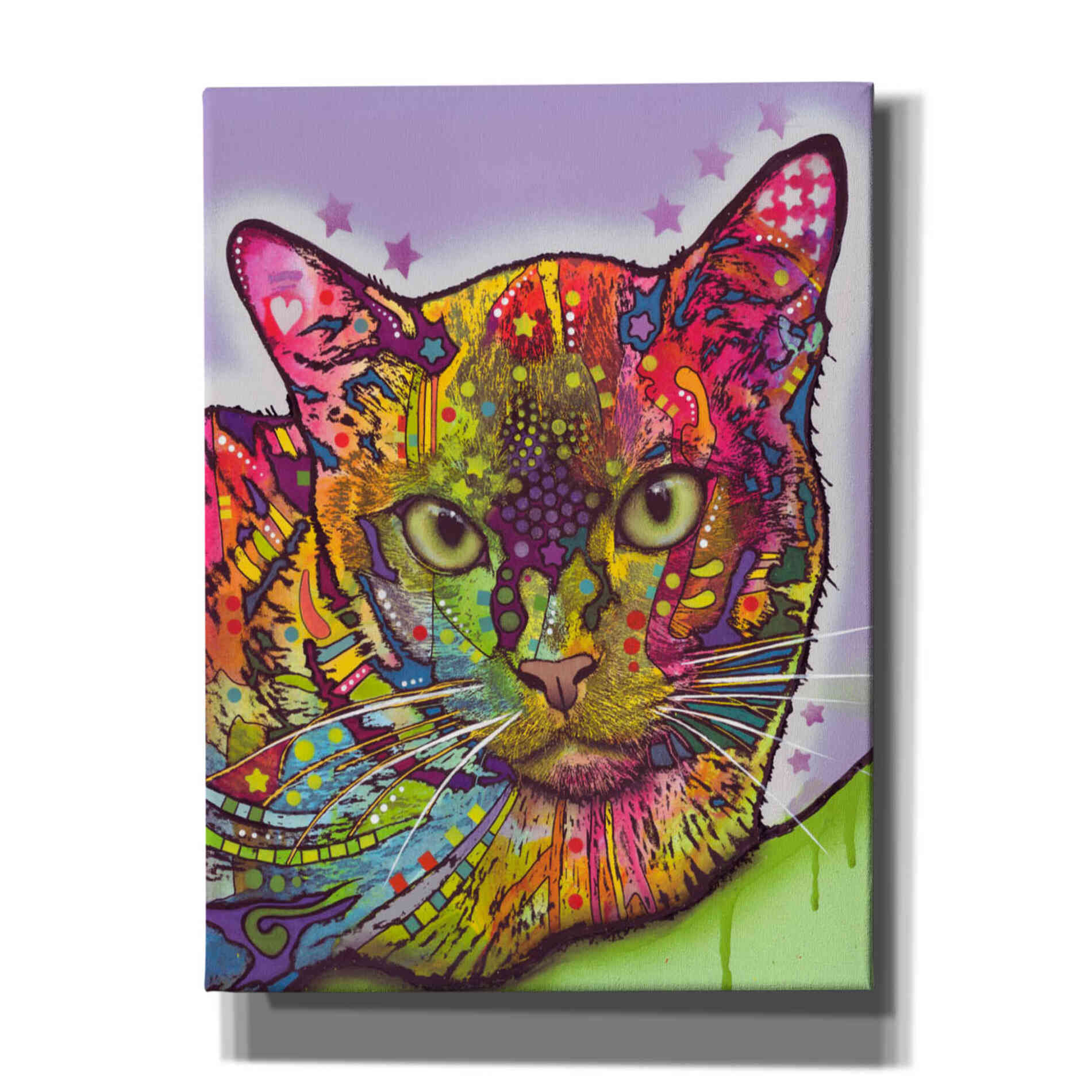 'Burmese' by Dean Russo, Giclee Canvas Wall Art