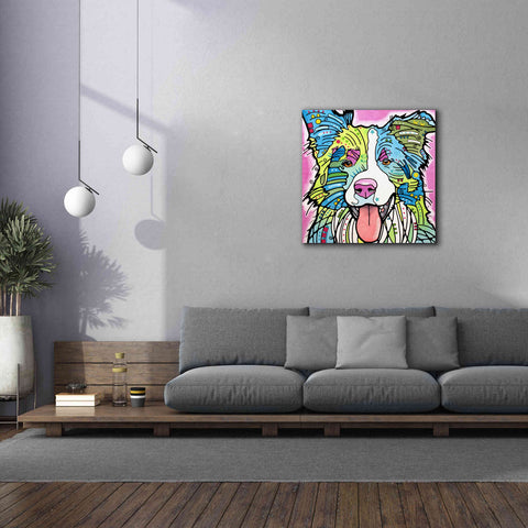 Image of 'Colly' by Dean Russo, Giclee Canvas Wall Art,37x37