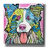 'Colly' by Dean Russo, Giclee Canvas Wall Art
