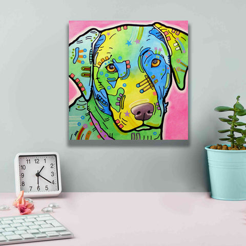 Image of 'Labrador' by Dean Russo, Giclee Canvas Wall Art,12x12