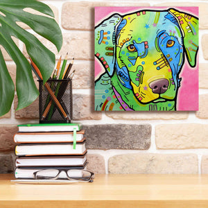 'Labrador' by Dean Russo, Giclee Canvas Wall Art,12x12