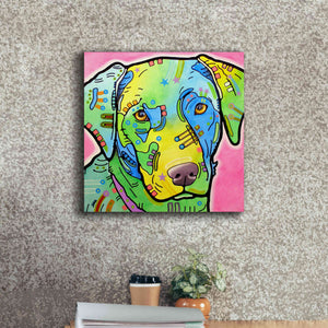 'Labrador' by Dean Russo, Giclee Canvas Wall Art,18x18
