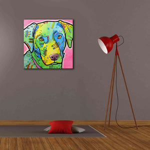'Labrador' by Dean Russo, Giclee Canvas Wall Art,26x26