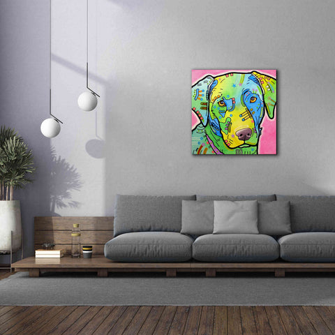 Image of 'Labrador' by Dean Russo, Giclee Canvas Wall Art,37x37