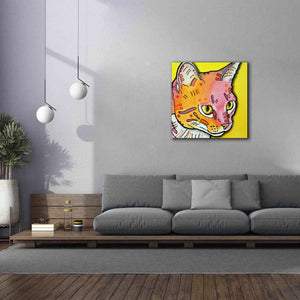 'Watching Rain' by Dean Russo, Giclee Canvas Wall Art,37x37