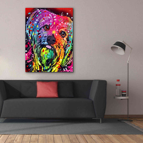 Image of 'Yorkie 2' by Dean Russo, Giclee Canvas Wall Art,40x54