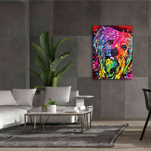 Image of 'Yorkie 2' by Dean Russo, Giclee Canvas Wall Art,40x54