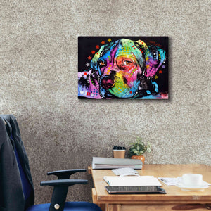 'Young Mastiff' by Dean Russo, Giclee Canvas Wall Art,26x18