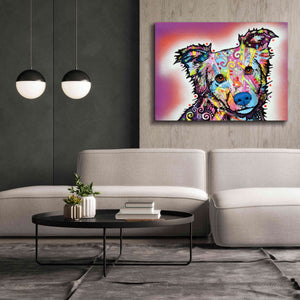 'Collied' by Dean Russo, Giclee Canvas Wall Art,54x40