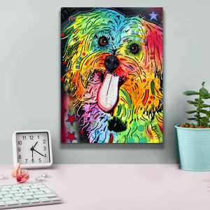 'Shih Tzu' by Dean Russo, Giclee Canvas Wall Art,12x16