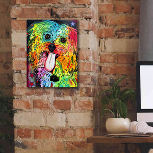 'Shih Tzu' by Dean Russo, Giclee Canvas Wall Art,12x16