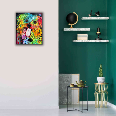 Image of 'Shih Tzu' by Dean Russo, Giclee Canvas Wall Art,20x24