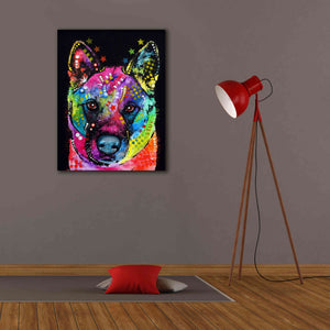 'Akita 2' by Dean Russo, Giclee Canvas Wall Art,26x34