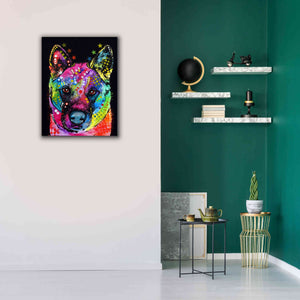 'Akita 2' by Dean Russo, Giclee Canvas Wall Art,26x34