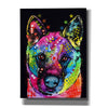 'Akita 2' by Dean Russo, Giclee Canvas Wall Art