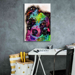 'Aussie' by Dean Russo, Giclee Canvas Wall Art,18x26