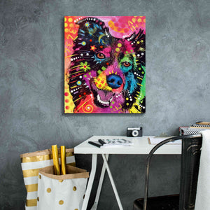 'Border Collie 2' by Dean Russo, Giclee Canvas Wall Art,20x24